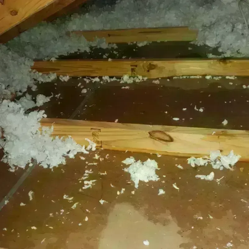 Attic Water Damage in Pelican Rapids, MN