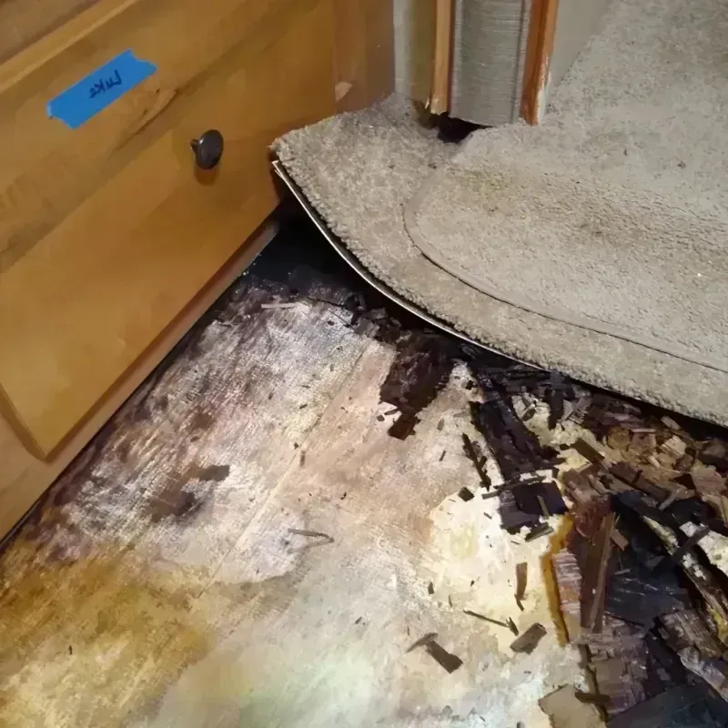 Best Wood Floor Water Damage Service in Pelican Rapids, MN